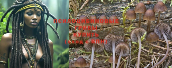 бутират Михайловка