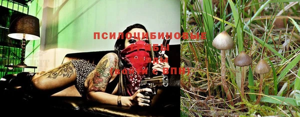 прущие крисы Наволоки