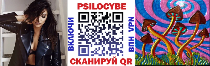Псилоцибиновые грибы мицелий  Купить где  Лаишево 